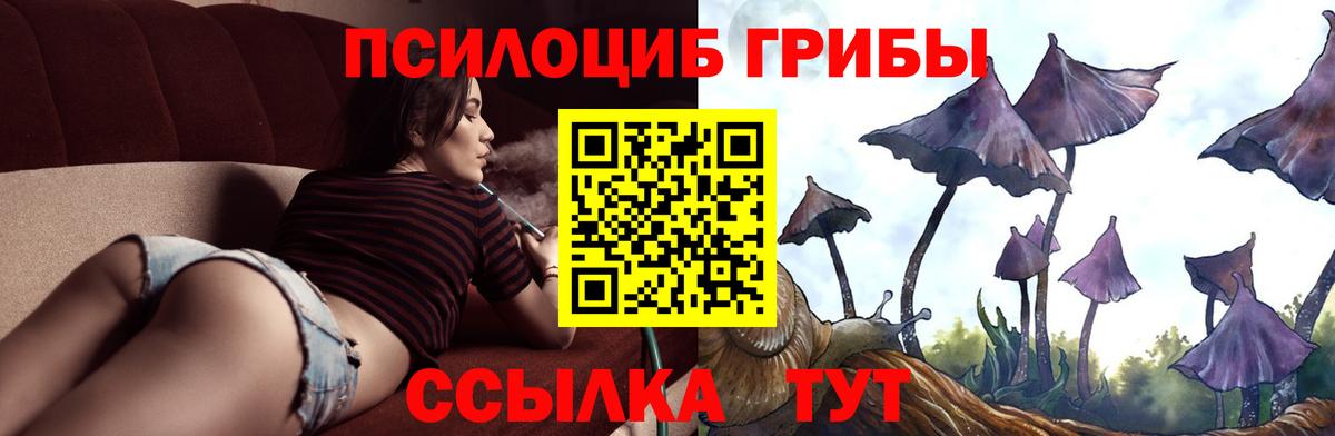 Норильск  Псилоцибиновые грибы ЛСД  Вход с VPN 