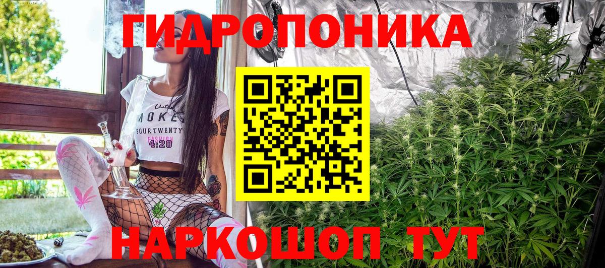 Каннабис план  Канабис Ganja  Вход с VPN  Норильск  Бошки Шишки White Widow 